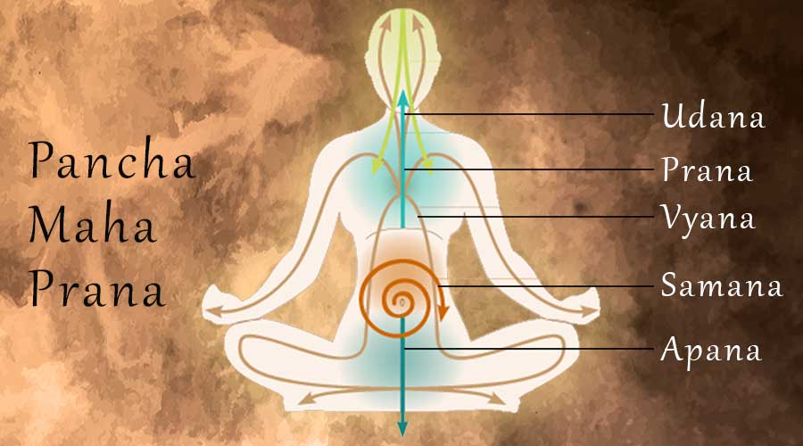 Hiểu biết về Prana trong Yoga